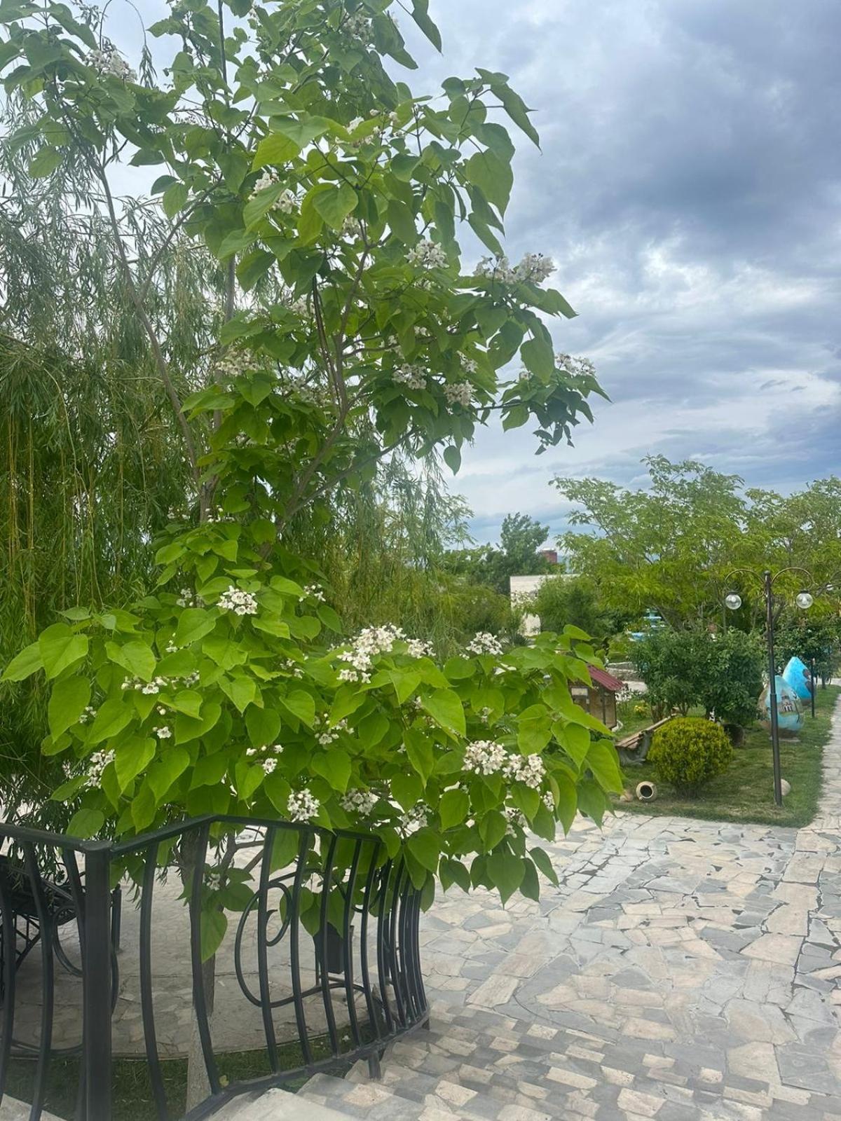 Ralina Restaurant And Hotel Ararat ภายนอก รูปภาพ